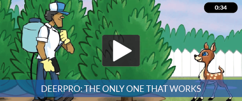 DeerPro - Most Effective and Longest Lasting Professional Deer Repellent