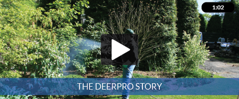 DeerPro - Most Effective and Longest Lasting Professional Deer Repellent